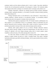 Produkto tyrimas veikiančioje įmonėje 9 puslapis