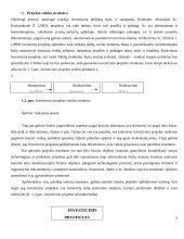 Projekto valdymas ir rizikos 2 puslapis