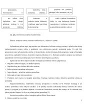 Projekto valdymas ir rizikos 3 puslapis