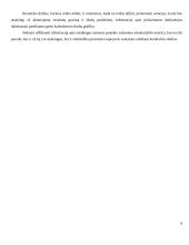 Projekto valdymas ir rizikos 9 puslapis