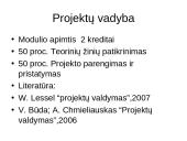 Projektų valdymas skaidrės 2 puslapis