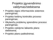 Projektų valdymas skaidrės 13 puslapis