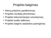 Projektų valdymas skaidrės 14 puslapis