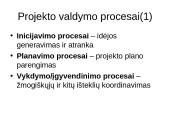 Projektų valdymas skaidrės 19 puslapis