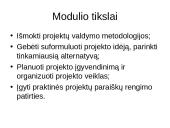 Projektų valdymas skaidrės 3 puslapis