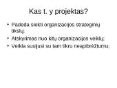Projektų valdymas skaidrės 4 puslapis