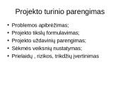 Projektų valdymas skaidrės 10 puslapis