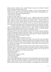 Rasos atvejo analizė 11 puslapis