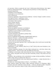 Rasos atvejo analizė 12 puslapis