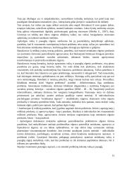 Rasos atvejo analizė 13 puslapis