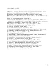 Rasos atvejo analizė 15 puslapis