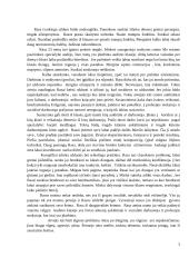 Rasos atvejo analizė 3 puslapis