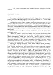 Rasos atvejo analizė 4 puslapis