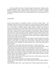 Rasos atvejo analizė 8 puslapis