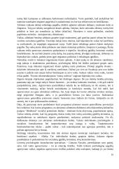 Rasos atvejo analizė 10 puslapis