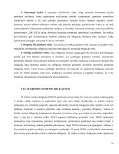 Struktūrizuotų vertybinių popierių vieta Lietuvos finansų sistemoje 14 puslapis