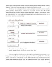 Struktūrizuotų vertybinių popierių vieta Lietuvos finansų sistemoje 15 puslapis