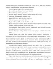 Struktūrizuotų vertybinių popierių vieta Lietuvos finansų sistemoje 16 puslapis