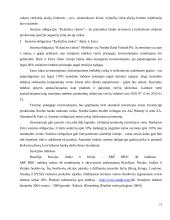 Struktūrizuotų vertybinių popierių vieta Lietuvos finansų sistemoje 17 puslapis