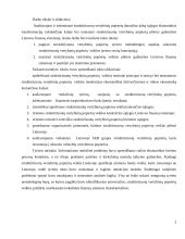 Struktūrizuotų vertybinių popierių vieta Lietuvos finansų sistemoje 3 puslapis