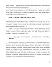 Struktūrizuotų vertybinių popierių vieta Lietuvos finansų sistemoje 5 puslapis