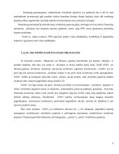 Struktūrizuotų vertybinių popierių vieta Lietuvos finansų sistemoje 6 puslapis