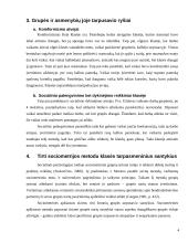 Sociometrinis tyrimas: Mokyklos grupė 4 puslapis
