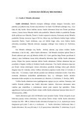 Saulės ir Mėnulio užtemimų vizualizavimas 11 puslapis