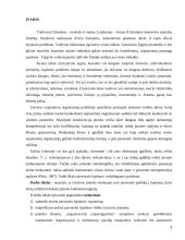 Tarptautinės kompanijos skirtingų lygių darbuotojų lojalumas organizacijai ir jo didinimo kryptys 2 puslapis