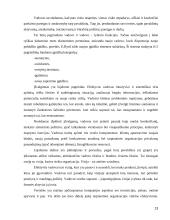 Tarptautinės kompanijos skirtingų lygių darbuotojų lojalumas organizacijai ir jo didinimo kryptys 13 puslapis