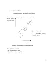 Tarptautinės kompanijos skirtingų lygių darbuotojų lojalumas organizacijai ir jo didinimo kryptys 15 puslapis