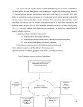 Tarptautinės kompanijos skirtingų lygių darbuotojų lojalumas organizacijai ir jo didinimo kryptys 16 puslapis