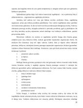 Tarptautinės kompanijos skirtingų lygių darbuotojų lojalumas organizacijai ir jo didinimo kryptys 19 puslapis