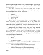 Tarptautinės kompanijos skirtingų lygių darbuotojų lojalumas organizacijai ir jo didinimo kryptys 20 puslapis