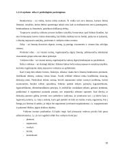 Tarptautinės kompanijos skirtingų lygių darbuotojų lojalumas organizacijai ir jo didinimo kryptys 10 puslapis