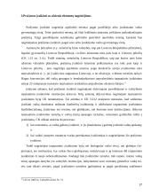 Tarptautinis įvaikinimas ir jo organizavimas Lietuvoje 17 puslapis