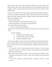 Turizmo politika Lietuvoje ir pasirinktoje šalyje 11 puslapis