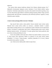 Turizmo politika Lietuvoje ir pasirinktoje šalyje 13 puslapis