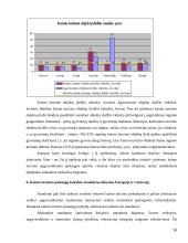 Turizmo politika Lietuvoje ir pasirinktoje šalyje 14 puslapis