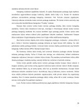 Turizmo politika Lietuvoje ir pasirinktoje šalyje 15 puslapis