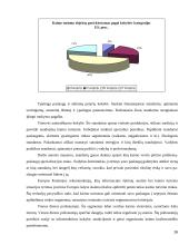 Turizmo politika Lietuvoje ir pasirinktoje šalyje 16 puslapis