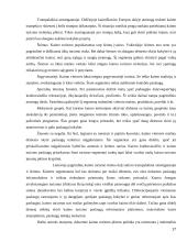 Turizmo politika Lietuvoje ir pasirinktoje šalyje 17 puslapis