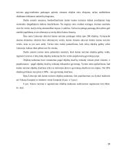 Turizmo politika Lietuvoje ir pasirinktoje šalyje 19 puslapis