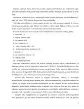 Turizmo politika Lietuvoje ir pasirinktoje šalyje 7 puslapis