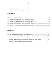 UAB “Ratai” turto pelningumo didinimo galimybių tyrimas 2 puslapis