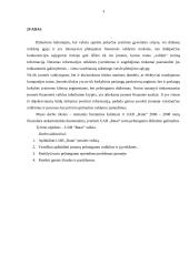 UAB “Ratai” turto pelningumo didinimo galimybių tyrimas 3 puslapis