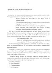 UAB “Ratai” turto pelningumo didinimo galimybių tyrimas 5 puslapis