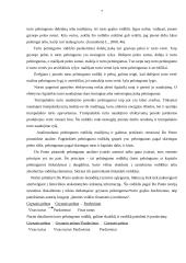 UAB “Ratai” turto pelningumo didinimo galimybių tyrimas 7 puslapis