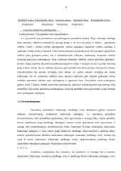 UAB “Ratai” turto pelningumo didinimo galimybių tyrimas 8 puslapis