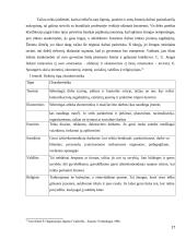 Vadovavimo stilius bei jo efektyvumo įvertinimas 16 puslapis